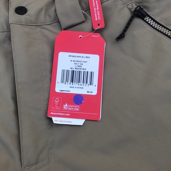 north face men's seymore ski pants